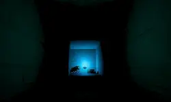 Ancient Crypt thumbnail