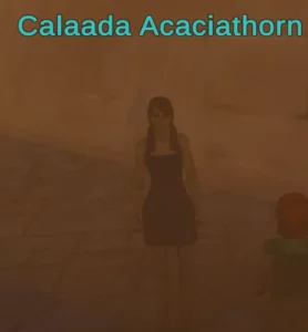 Calaada Acaciathorn, a Druid Quest giver